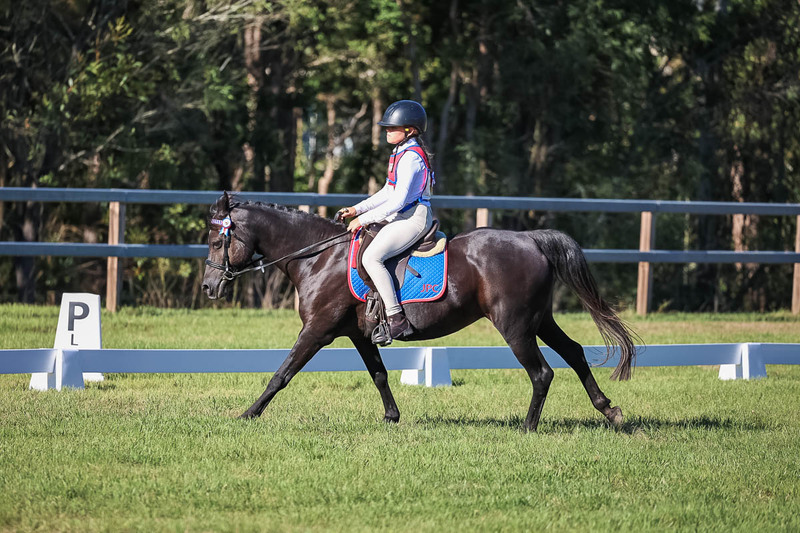 JPC Feb 2026 Dressage-7378.jpg
