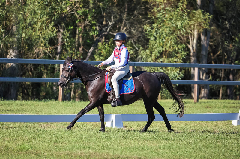 JPC Feb 2026 Dressage-7379.jpg