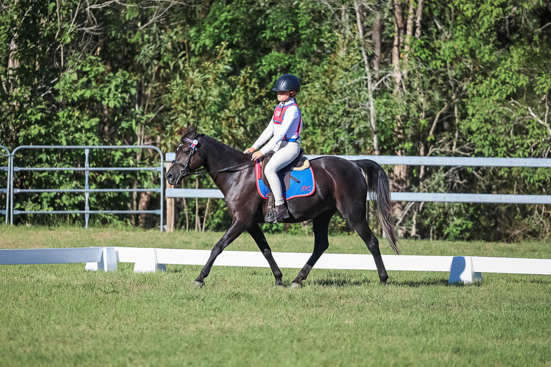 JPC Feb 2026 Dressage-7381.jpg
