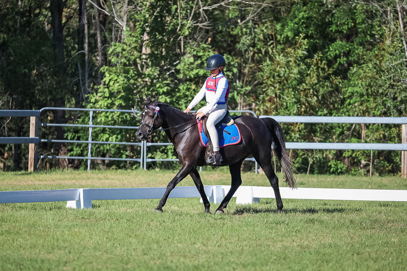 JPC Feb 2026 Dressage-7382.jpg