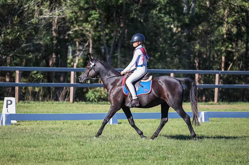 JPC Feb 2026 Dressage-7384.jpg