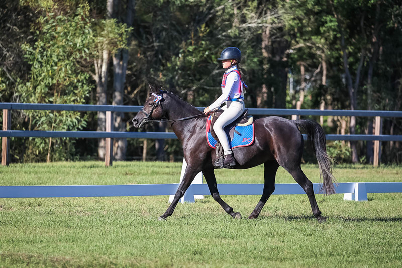 JPC Feb 2026 Dressage-7385.jpg