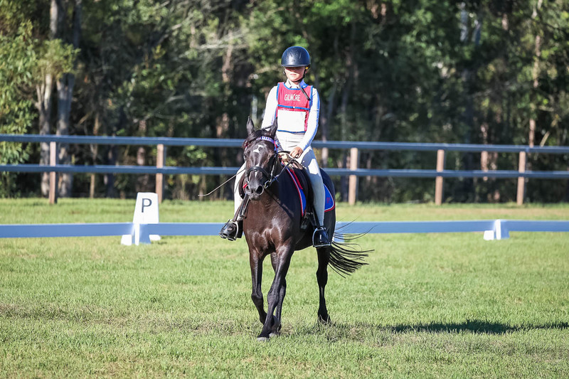 JPC Feb 2026 Dressage-7387.jpg