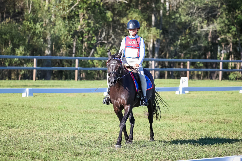 JPC Feb 2026 Dressage-7388.jpg