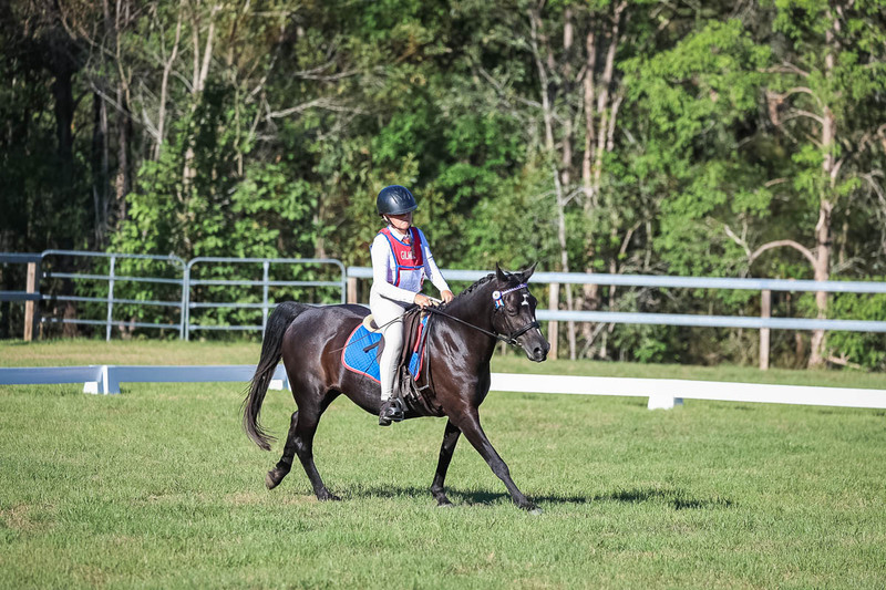 JPC Feb 2026 Dressage-7389.jpg