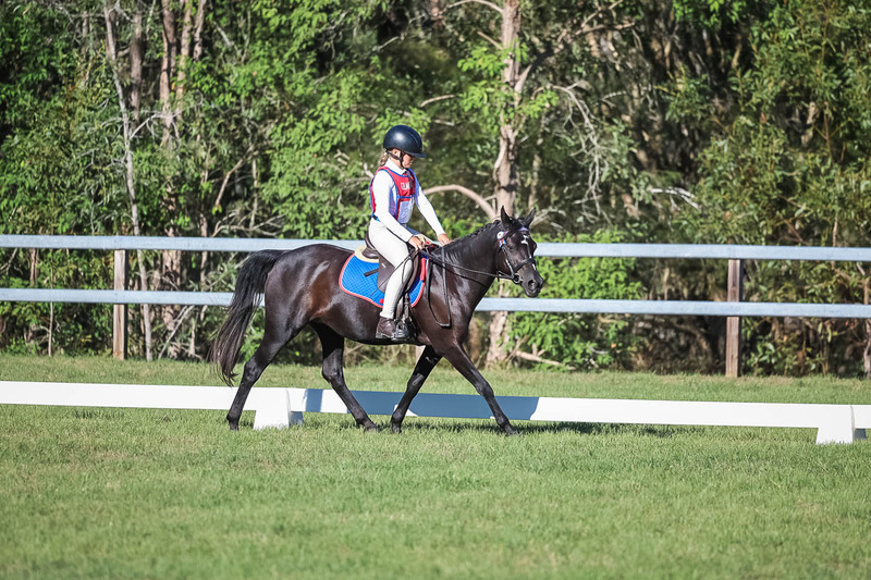 JPC Feb 2026 Dressage-7391.jpg