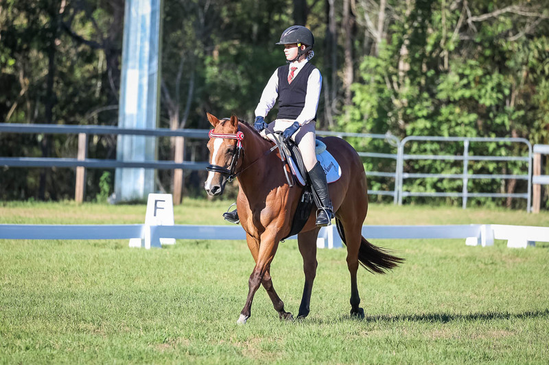 JPC Feb 2026 Dressage-7393.jpg