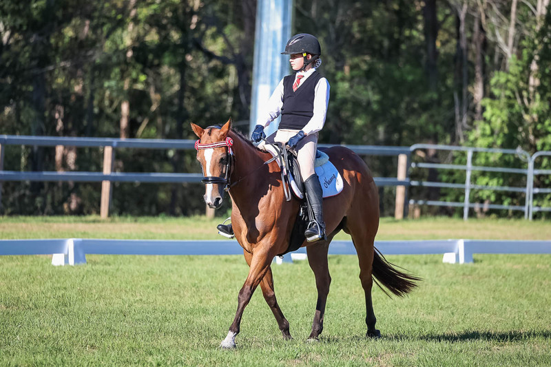 JPC Feb 2026 Dressage-7394.jpg
