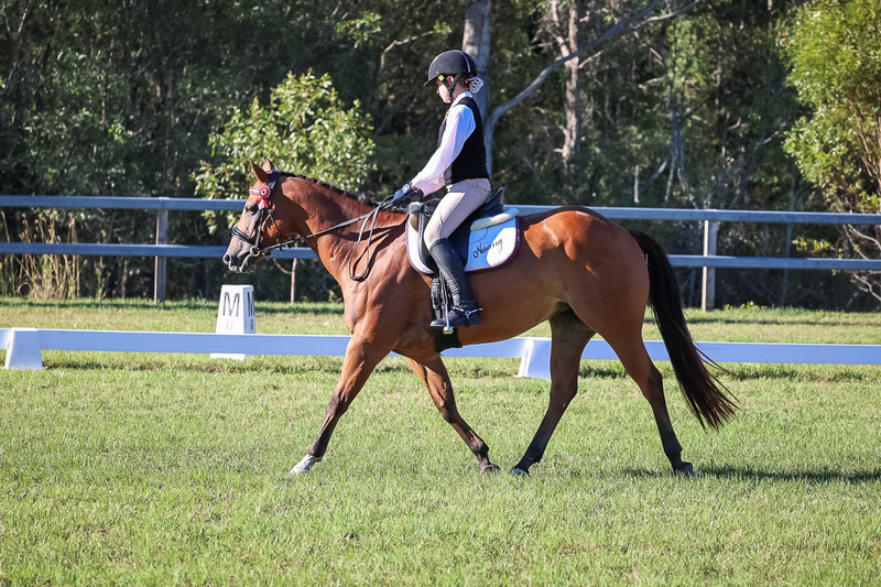 JPC Feb 2026 Dressage-7396.jpg