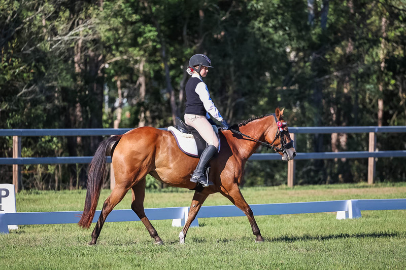 JPC Feb 2026 Dressage-7397.jpg