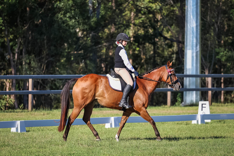 JPC Feb 2026 Dressage-7398.jpg