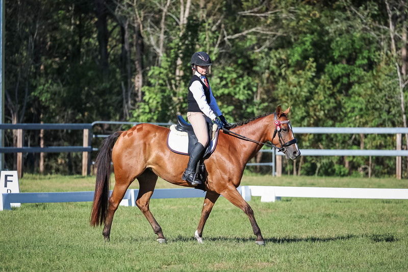 JPC Feb 2026 Dressage-7400.jpg
