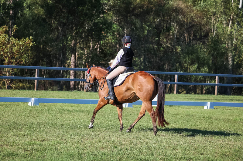 JPC Feb 2026 Dressage-7402.jpg
