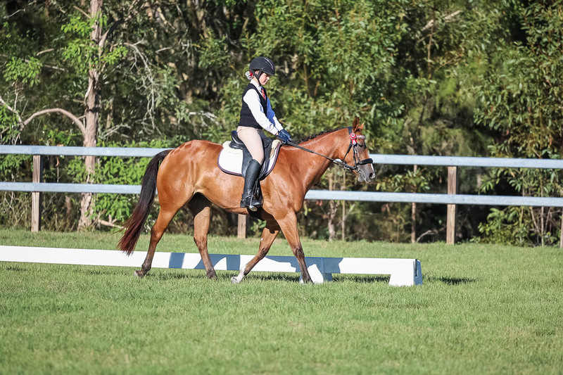 JPC Feb 2026 Dressage-7403.jpg