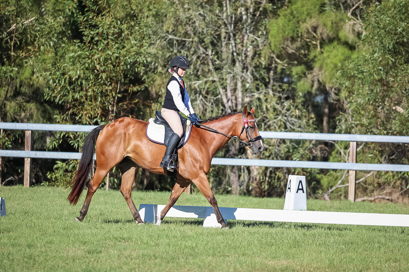JPC Feb 2026 Dressage-7404.jpg