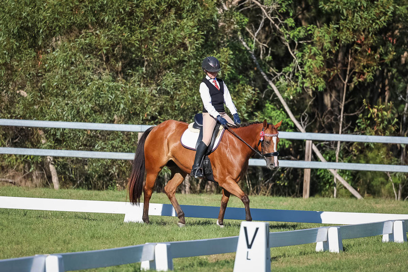 JPC Feb 2026 Dressage-7405.jpg