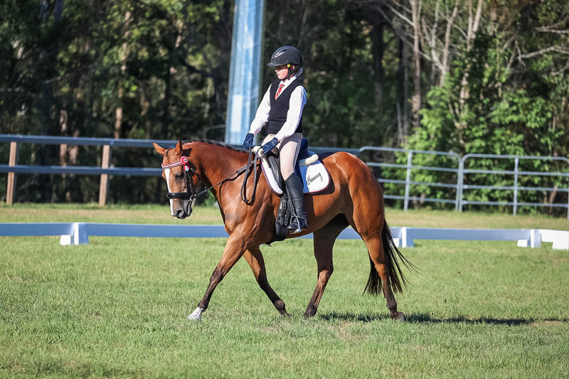 JPC Feb 2026 Dressage-7406.jpg
