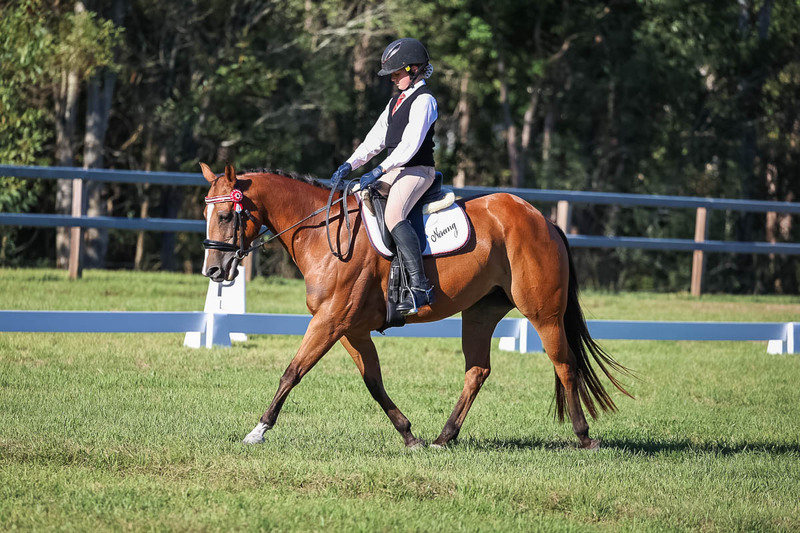 JPC Feb 2026 Dressage-7408.jpg