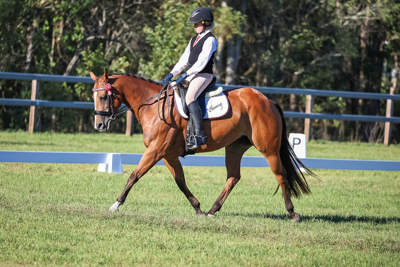 JPC Feb 2026 Dressage-7409.jpg
