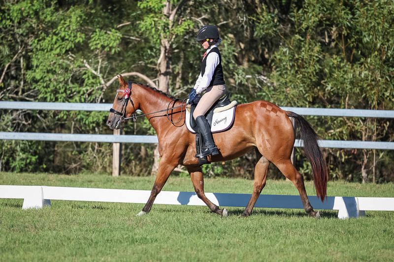 JPC Feb 2026 Dressage-7411.jpg