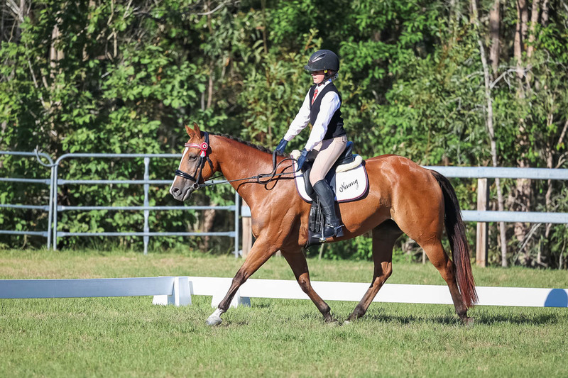 JPC Feb 2026 Dressage-7413.jpg