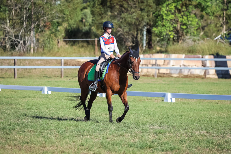 JPC Feb 2026 Dressage-7414.jpg