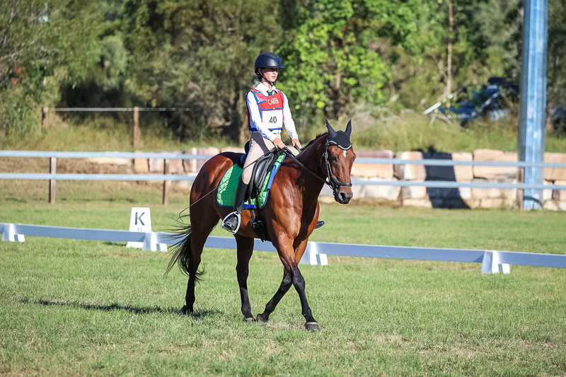 JPC Feb 2026 Dressage-7415.jpg
