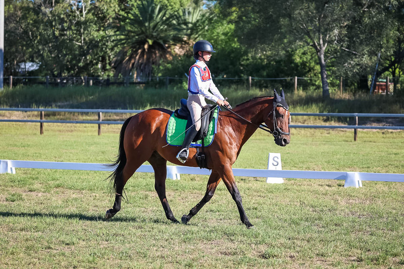 JPC Feb 2026 Dressage-7418.jpg