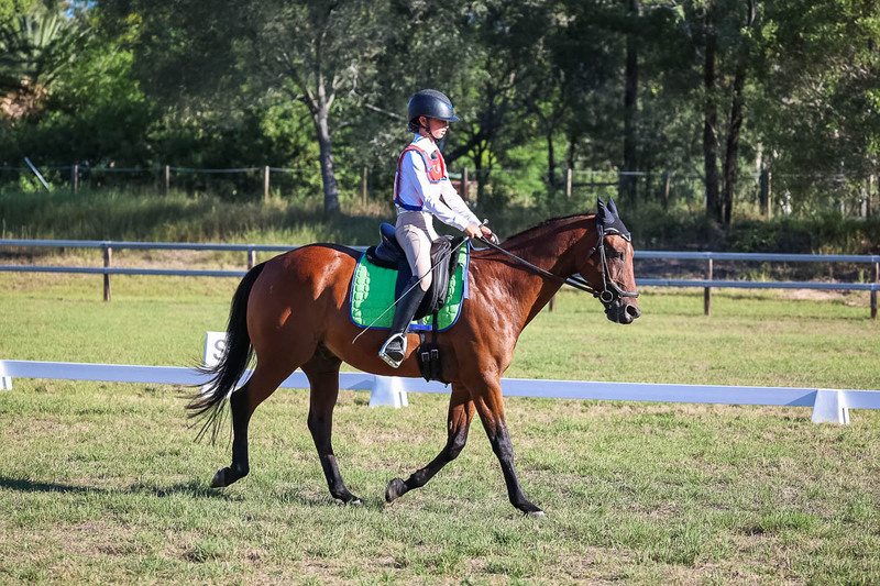 JPC Feb 2026 Dressage-7419.jpg
