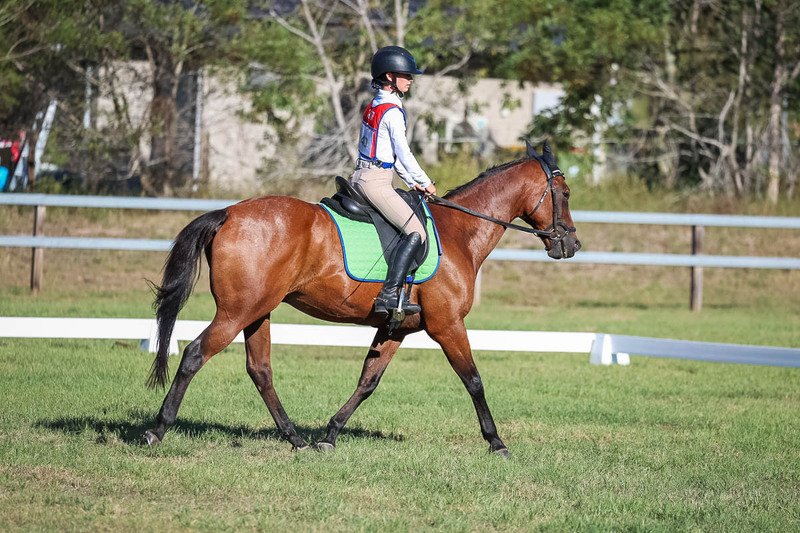 JPC Feb 2026 Dressage-7420.jpg