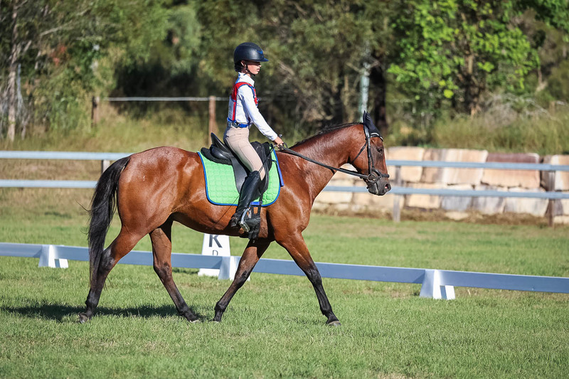 JPC Feb 2026 Dressage-7422.jpg