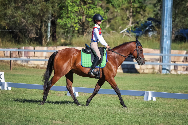 JPC Feb 2026 Dressage-7423.jpg