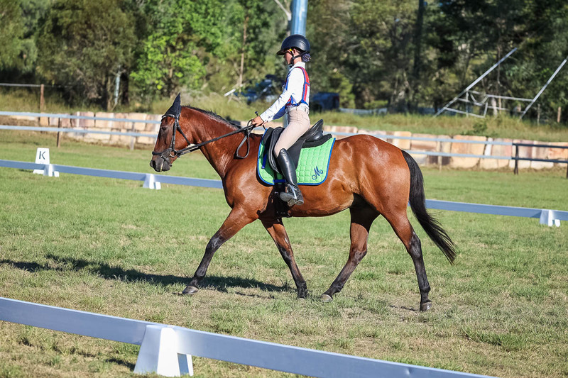 JPC Feb 2026 Dressage-7424.jpg