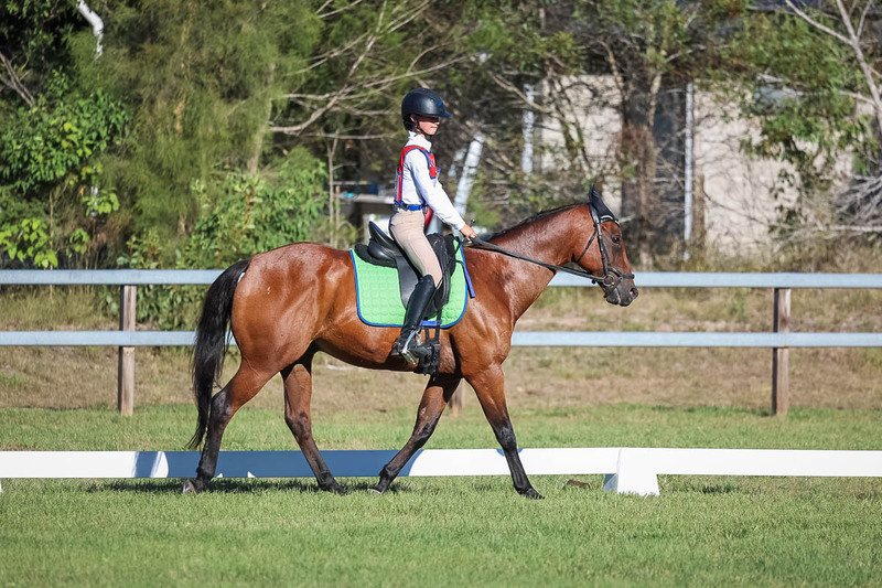 JPC Feb 2026 Dressage-7425.jpg
