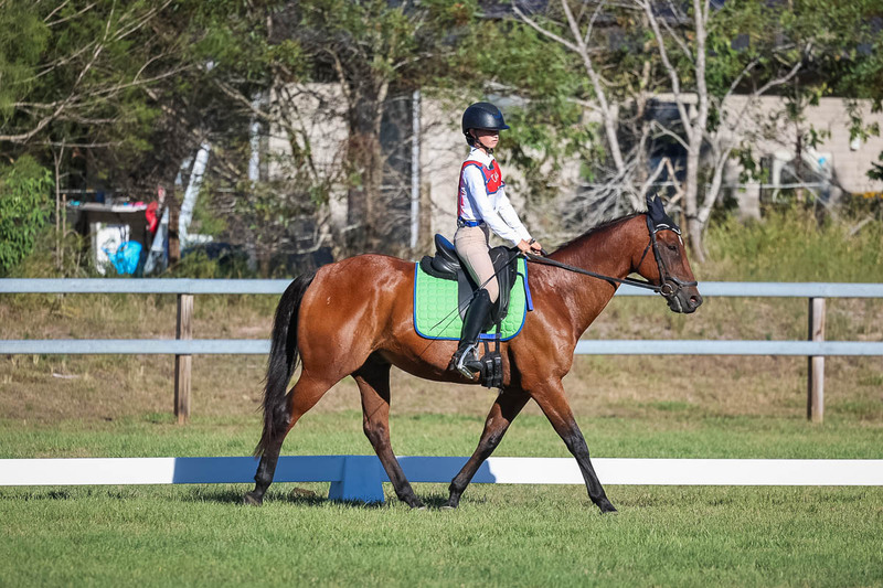 JPC Feb 2026 Dressage-7426.jpg