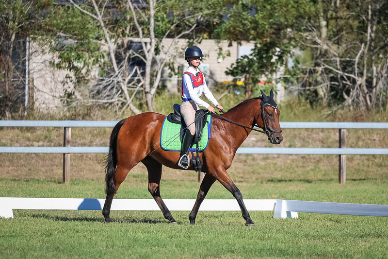 JPC Feb 2026 Dressage-7427.jpg