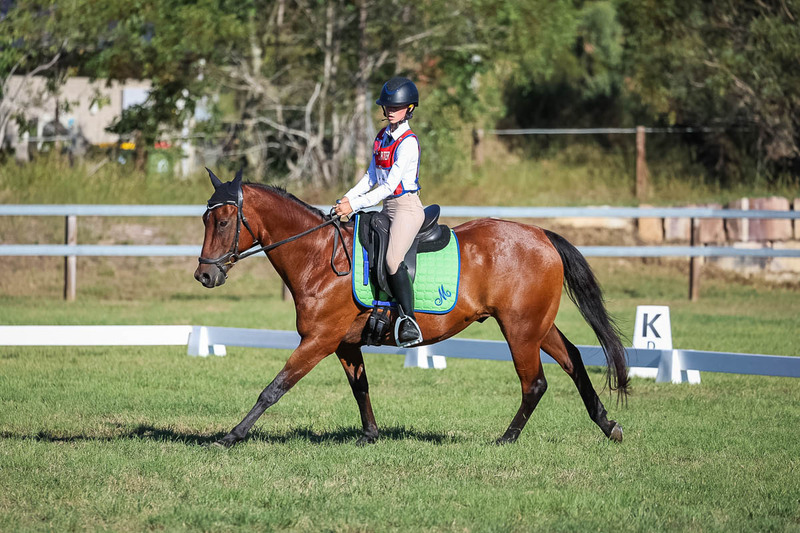 JPC Feb 2026 Dressage-7428.jpg