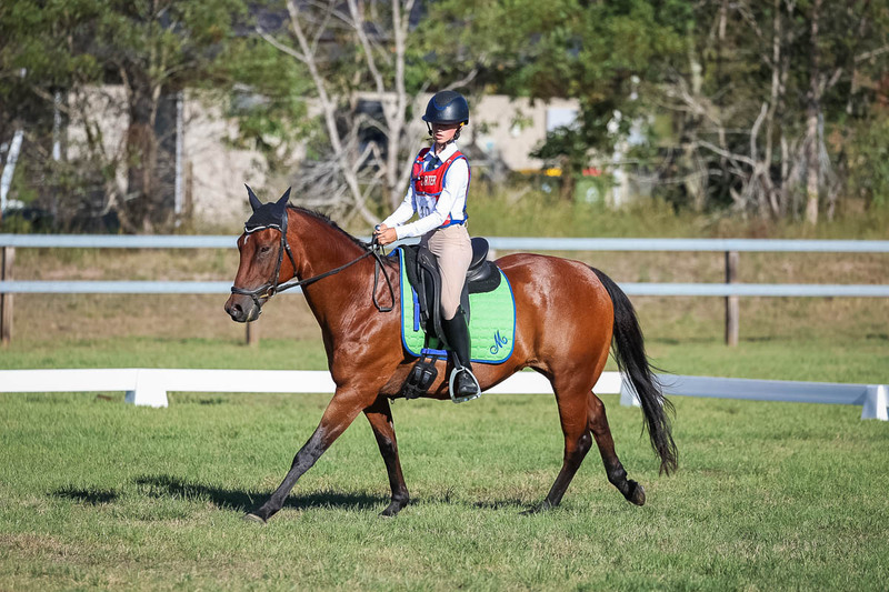 JPC Feb 2026 Dressage-7429.jpg