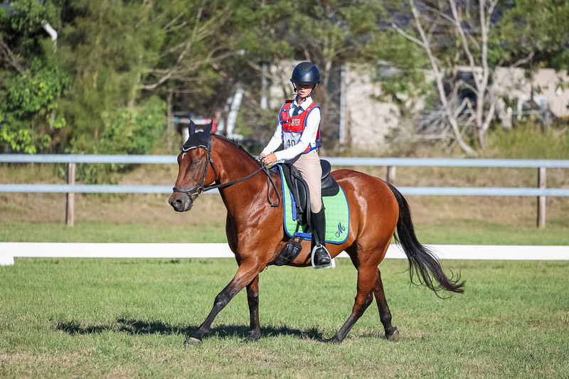 JPC Feb 2026 Dressage-7430.jpg