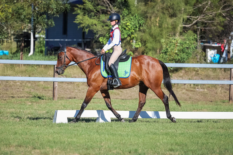 JPC Feb 2026 Dressage-7431.jpg