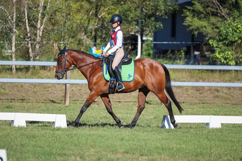 JPC Feb 2026 Dressage-7432.jpg