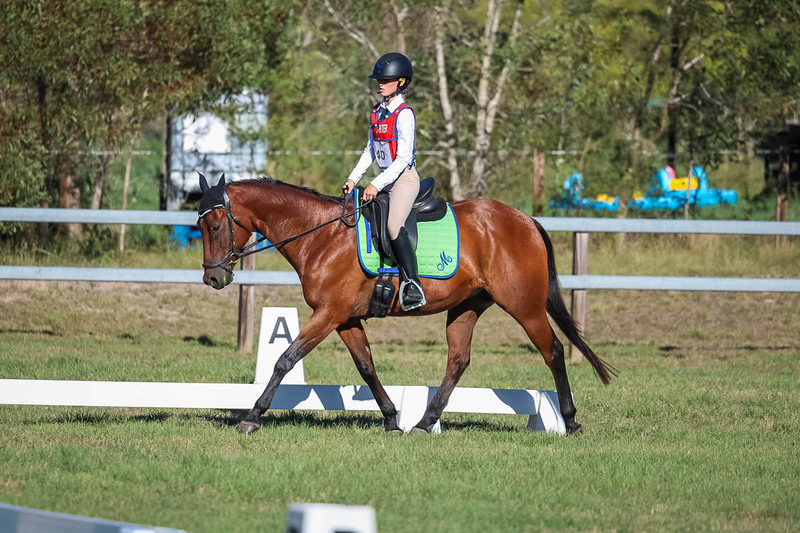JPC Feb 2026 Dressage-7433.jpg