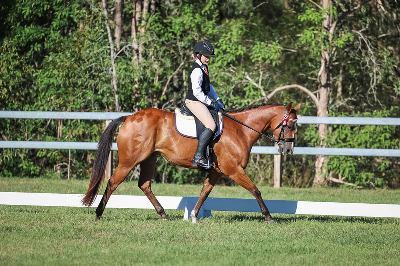 JPC Feb 2026 Dressage-7436.jpg