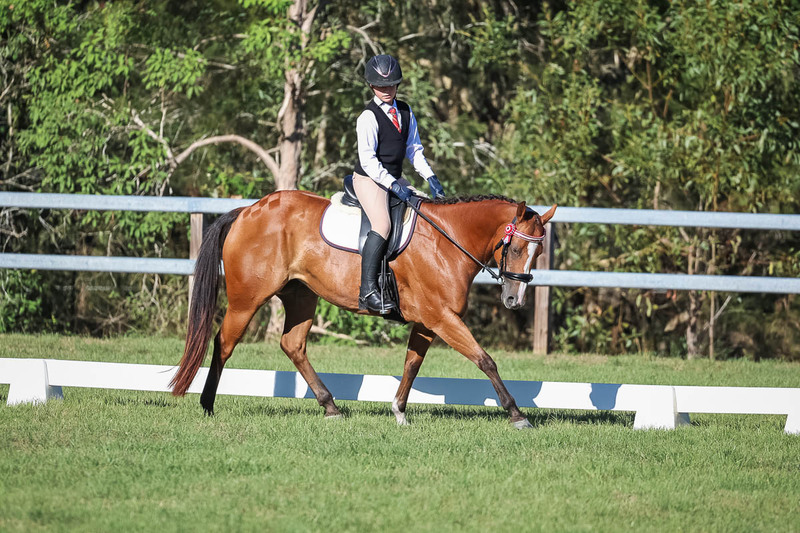 JPC Feb 2026 Dressage-7437.jpg