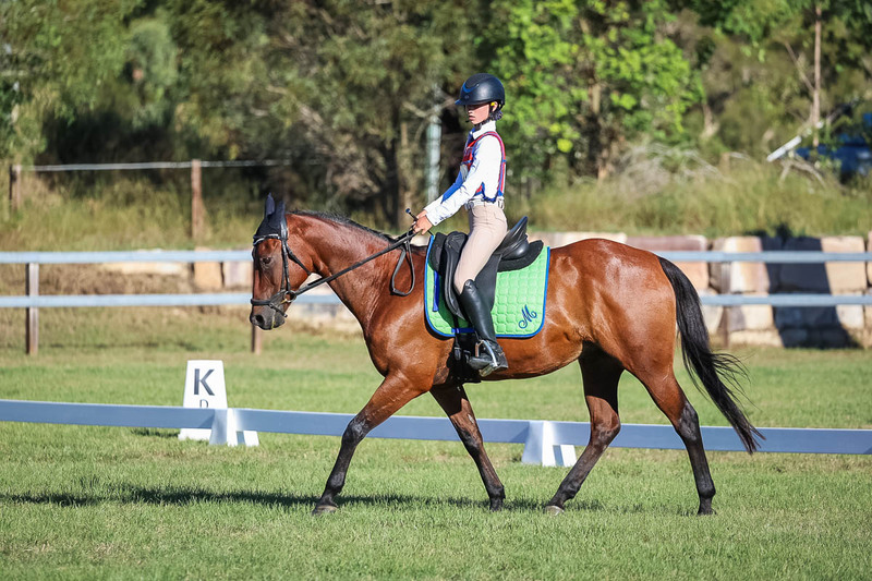 JPC Feb 2026 Dressage-7439.jpg
