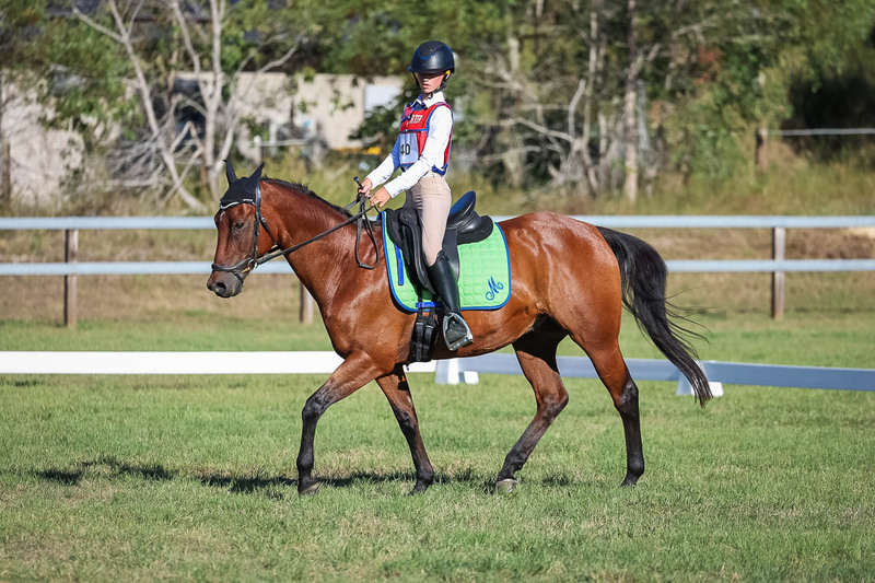 JPC Feb 2026 Dressage-7441.jpg