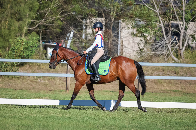 JPC Feb 2026 Dressage-7442.jpg