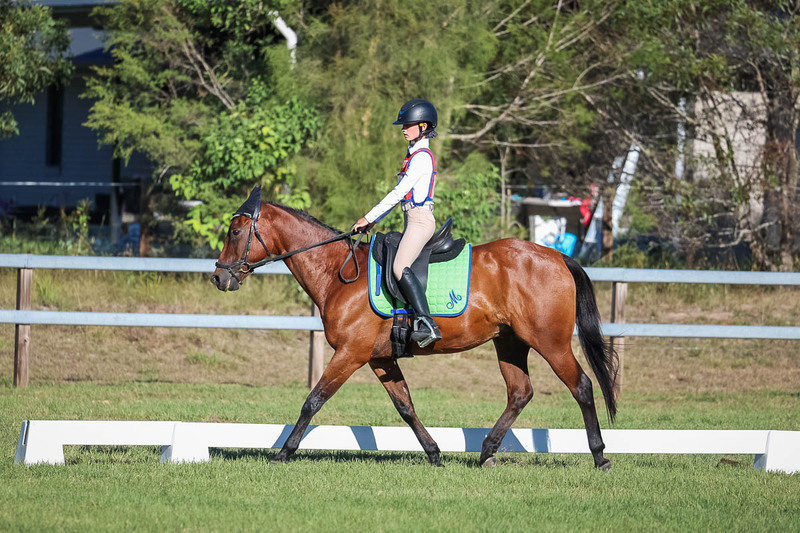 JPC Feb 2026 Dressage-7443.jpg
