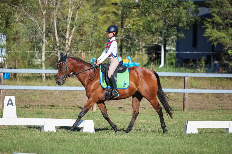 JPC Feb 2026 Dressage-7445.jpg