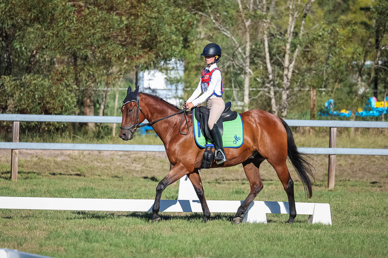 JPC Feb 2026 Dressage-7446.jpg